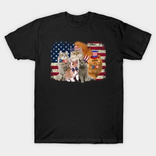 Funny Cat USA Cat Lovers Cat Moms 4th July T-Shirt